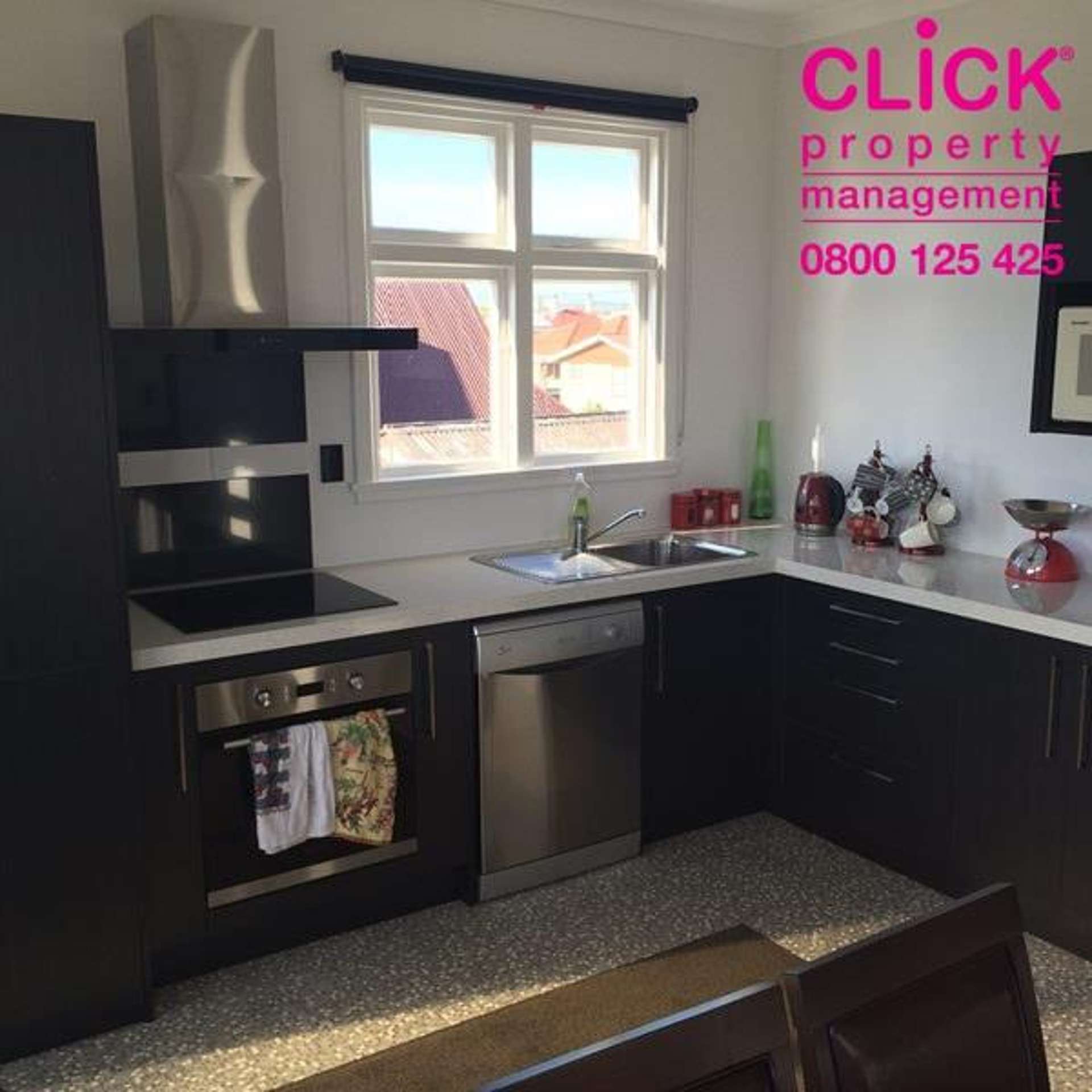 Otago Street Picton_0