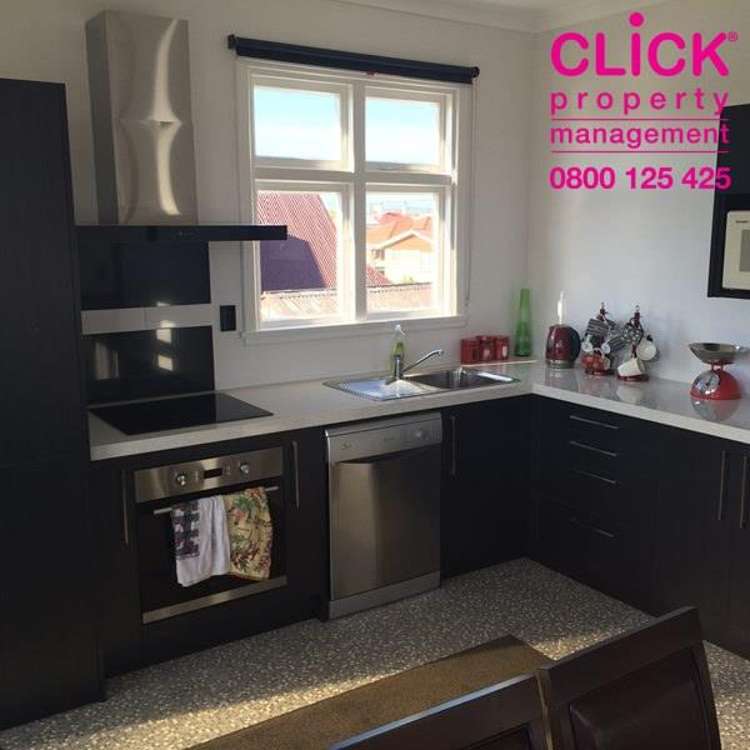 Otago Street Picton_0