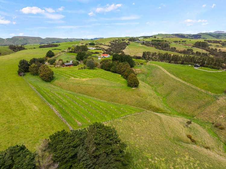 121 Southdown Drive Martinborough_33