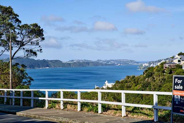 55 Lohia Street Khandallah_1