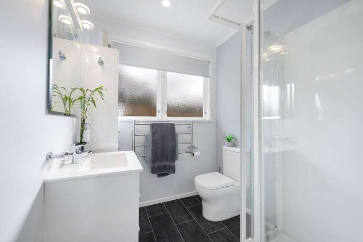 6 Jay Street Paparangi_9