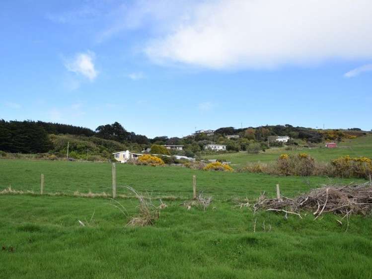 2401 Bluff Highway Bluff_5