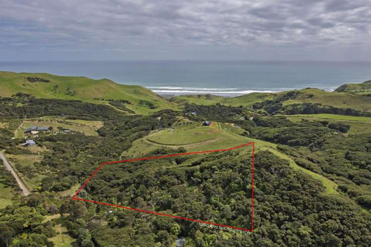 1615 Whaanga Road Raglan_23