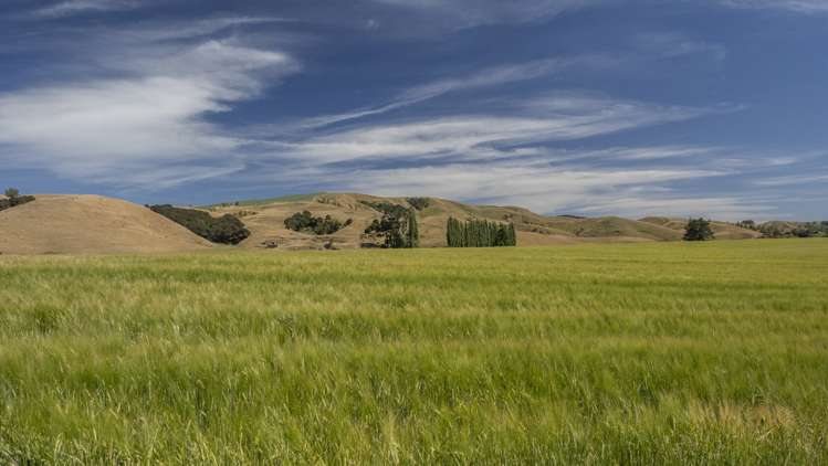 1231 Longbush Road Longbush_6