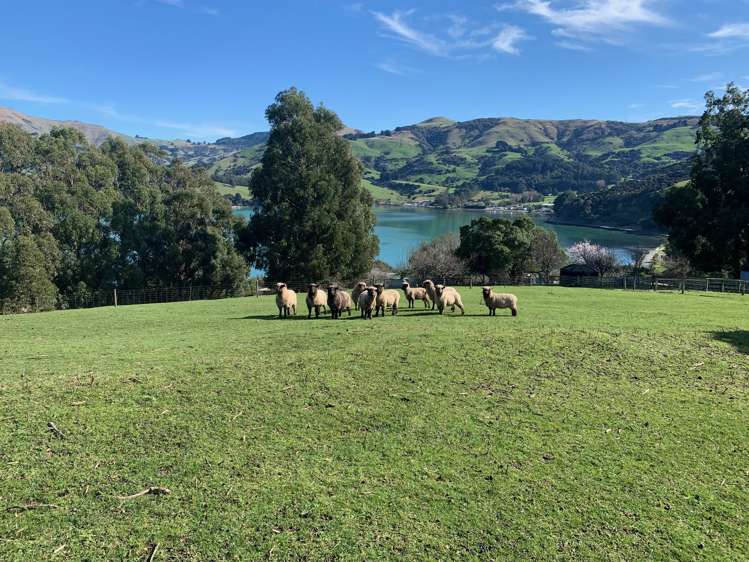 11 Bayview Crescent Duvauchelle_6