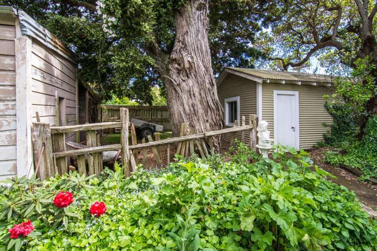 125 Cornwall Street Masterton_15