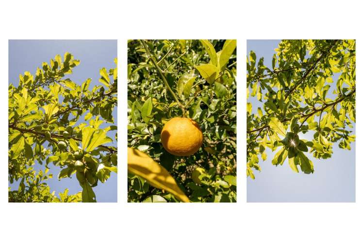 266b Ngatai Road Otumoetai_18