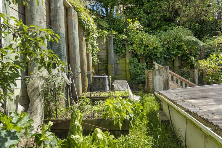 35 Durham Street Picton_23