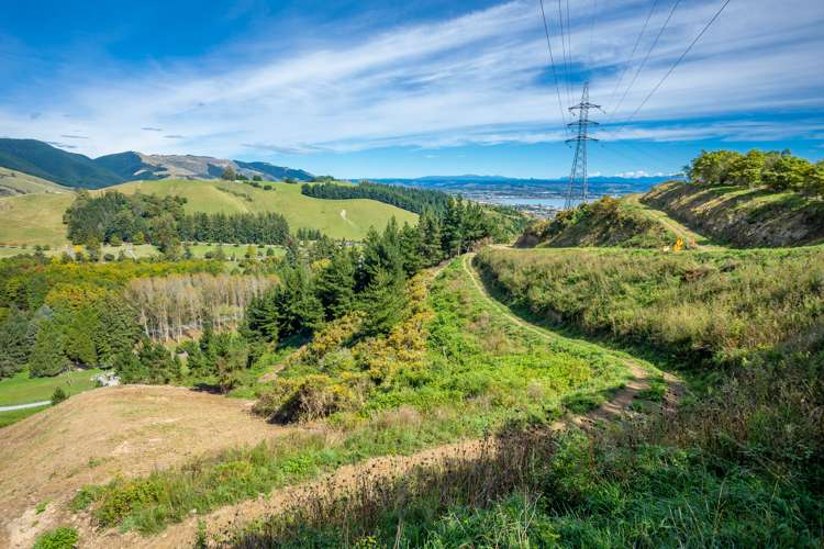 184 Panorama Drive Enner Glynn_18