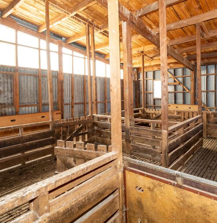 347 Butlers Road Fairlie_15