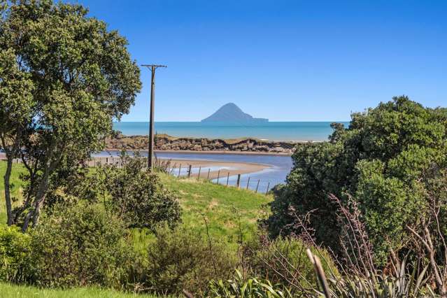 22 Parkinson Road Opotiki and Surrounds_4