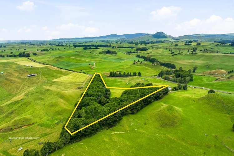 546 Henderson Road Whakamaru_24