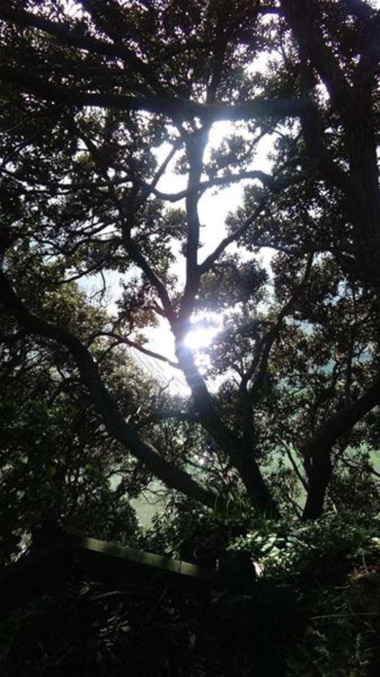 9 Pleasant Place Mellons Bay_9