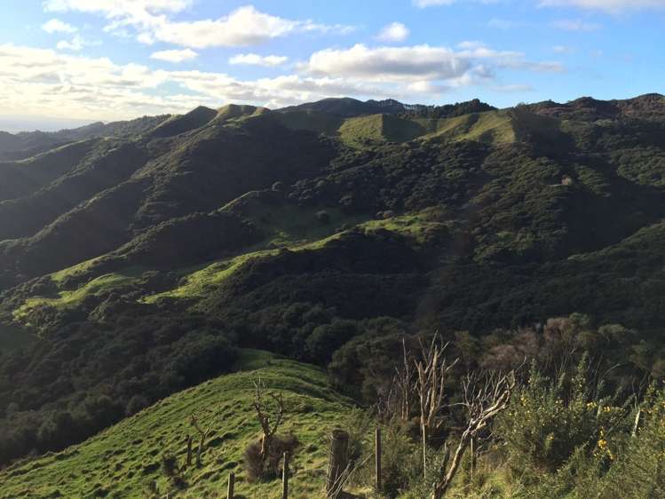 Klondyke Road Onewhero_7