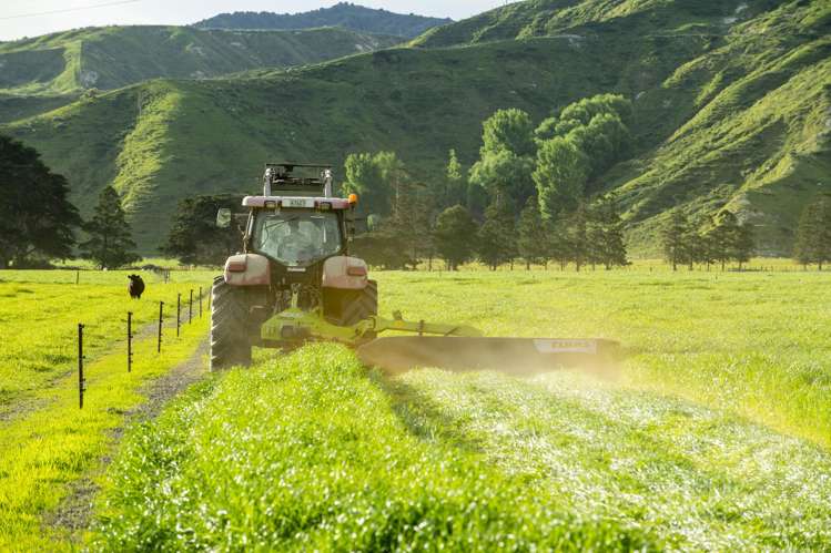 2225 State Highway 2 Whakaki_14