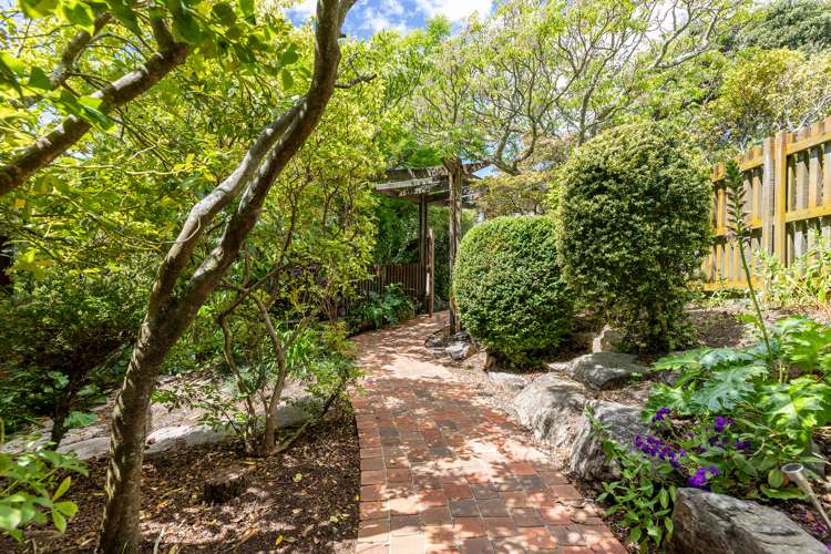 56 Fifeshire Crescent Stepneyville_17