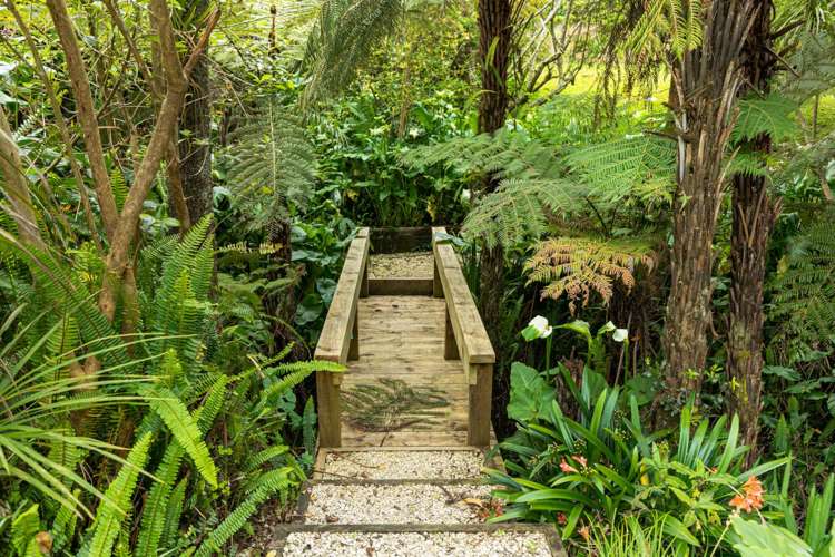 31 Matipo Road Mairangi Bay_5