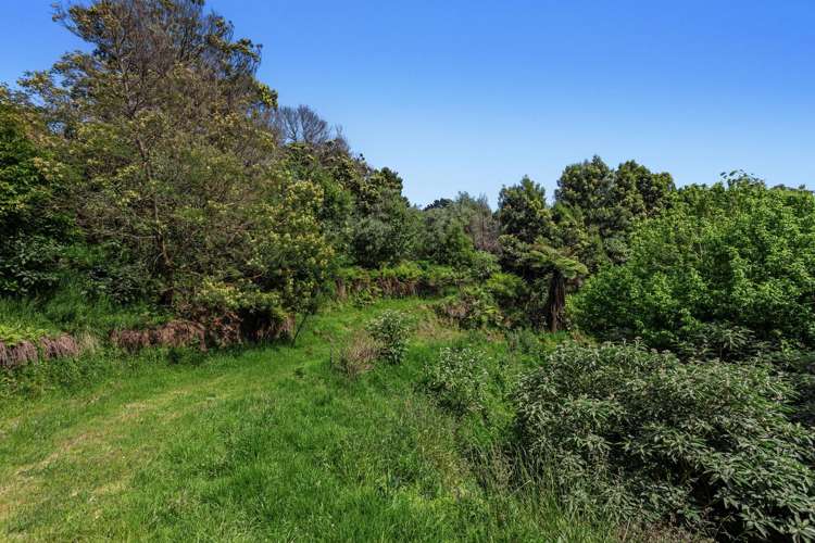 93 Loop Road Ohiwa_18