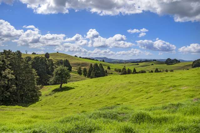 Lot 1 Oetzman Rd Hikurangi Rd2_4