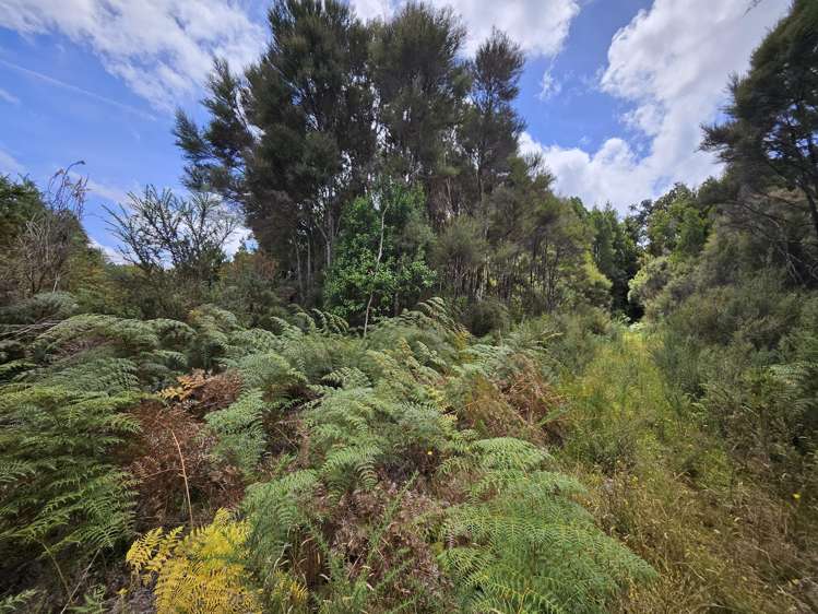 61d Beechwater Drive Moana / Lake Brunner_2