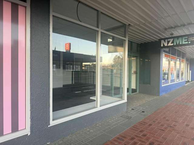 125 Ruataniwha Street Waipukurau_2