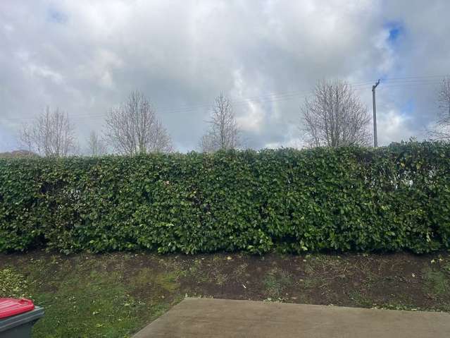 1/124C Monument Road Clevedon_3