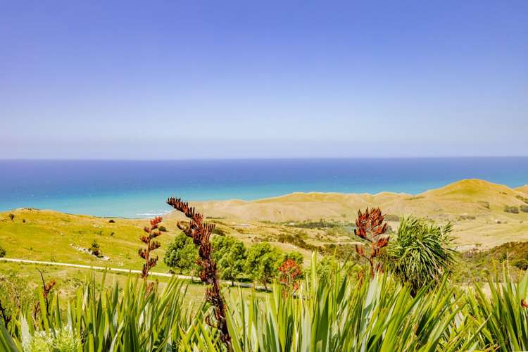 1165 Cooks Tooth Road Porangahau_28