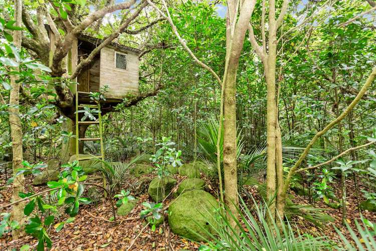 163 Simons Road Poroti_5