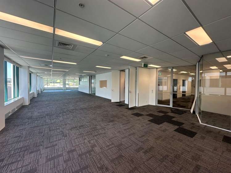 101 Carlton Gore Road Newmarket_4