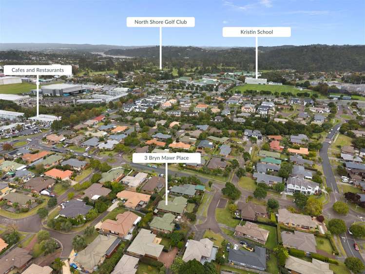 3 Bryn Mawr Place Albany_18