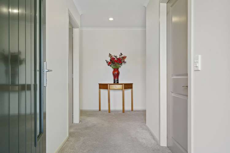 3 Catlins Glen Aotea_17