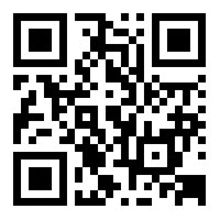 31 Boston Avenue Hornby_12