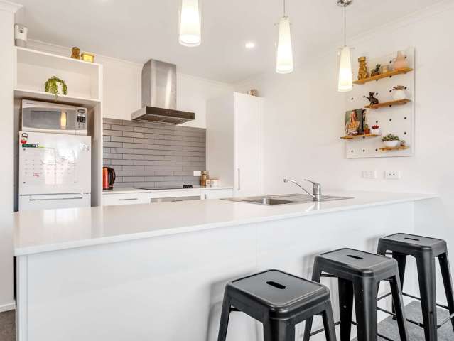 25 Hemopo Street Pukekohe_2