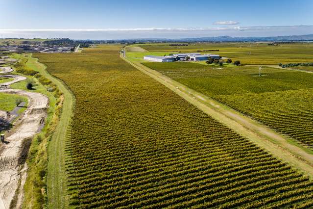 166 Mere Road Fernhill_4