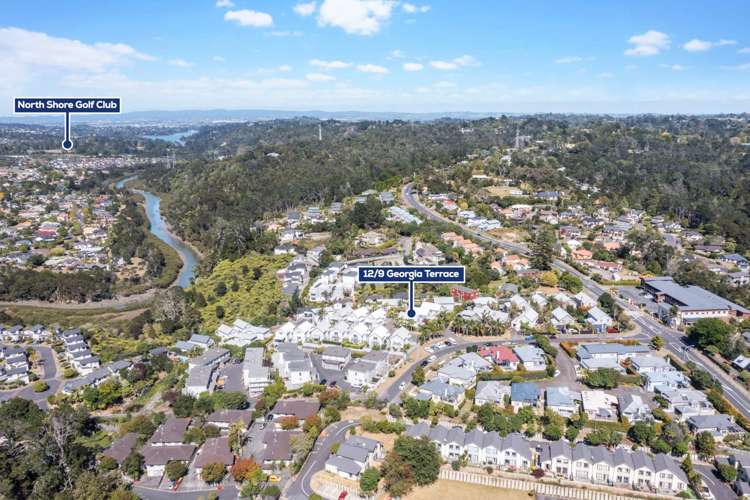 12/9 Georgia Terrace Albany_22