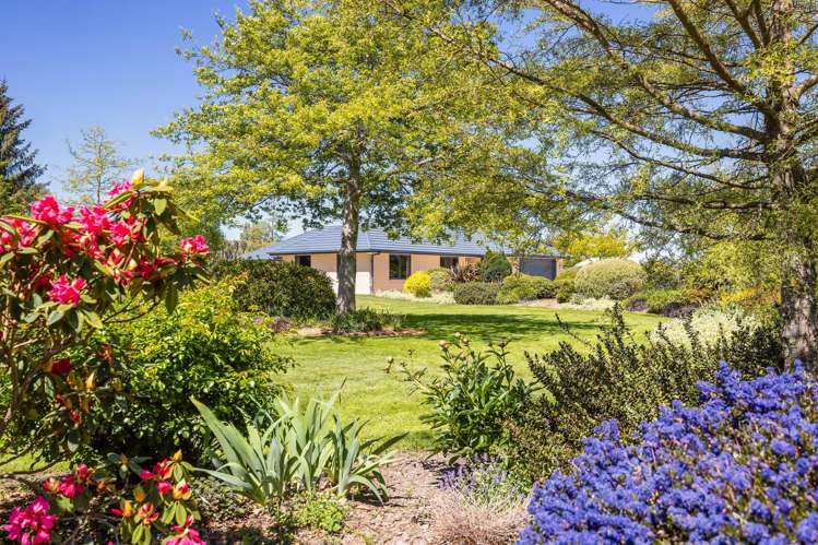 143 Neeves Road Clarkville_6