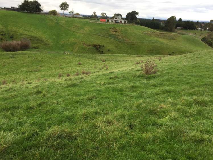 76 Knorp Street Halcombe_6