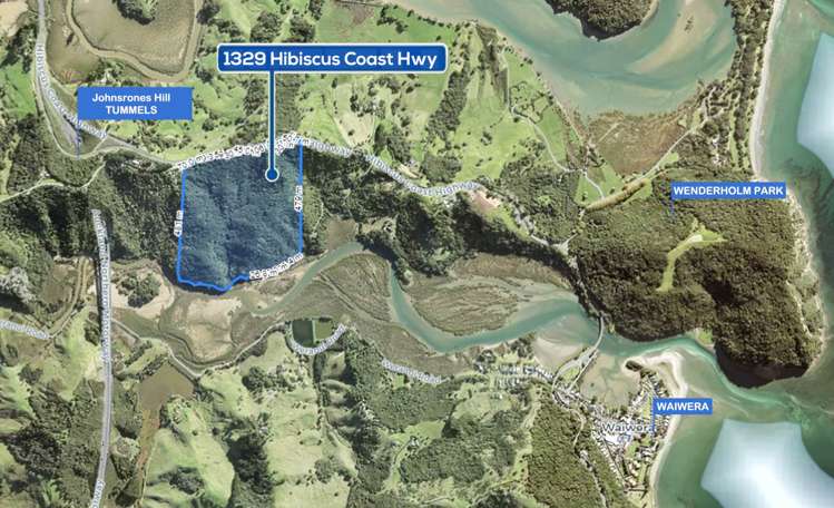 1329 Hibiscus Coast Highway Waiwera_8