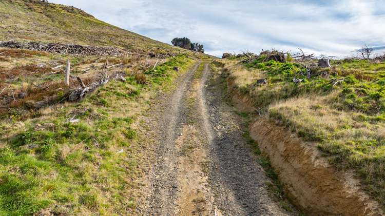 1301 Western Valley Road Port Levy_15