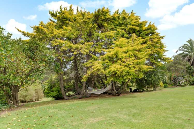 236 Kiwitahi Road Helensville_40