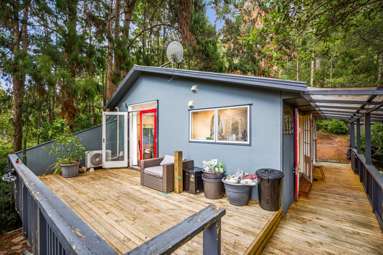 43 Kauri Loop Road_4