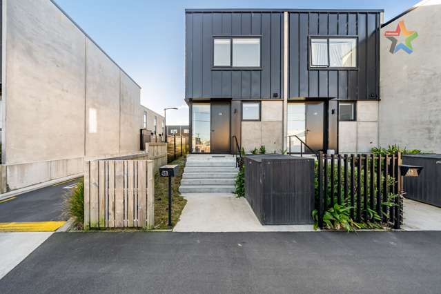 437a Jackson Street Petone_1