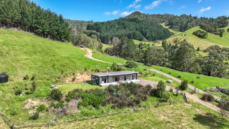 44 Packtrack Road Thames_23