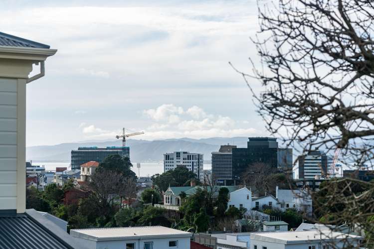 1/24 Patanga Crescent Thorndon_16