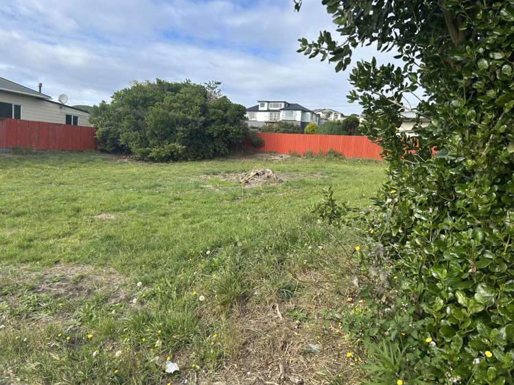 298 Gore Street Bluff_7