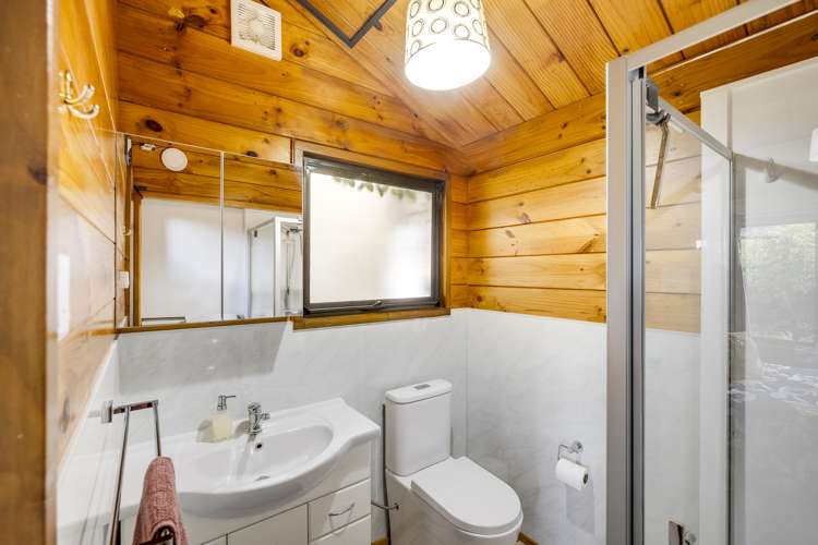 43 Donegal Crescent Tamatea_10