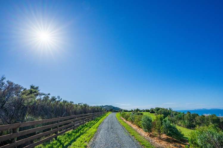 65 Rarangi Heights Parua Bay_12