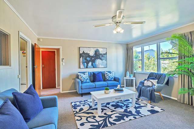 2/65 Middle Road Havelock North_1