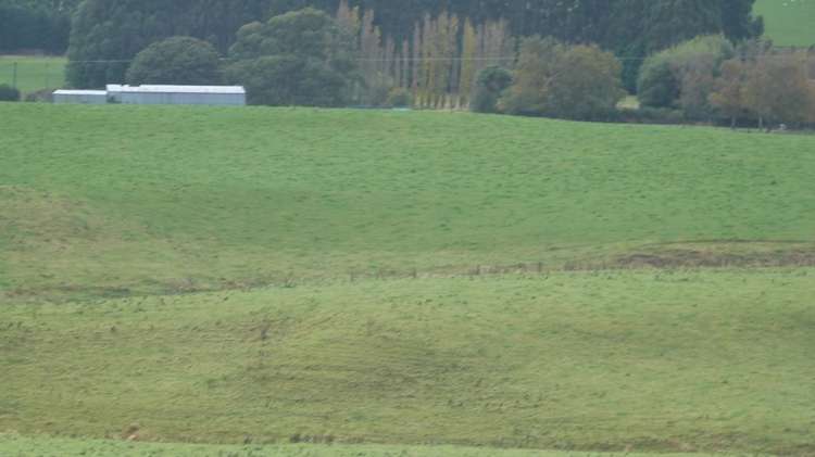 44 Rodgers Road Catlins Surrounds_44