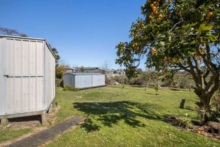 8a Thames Road Paeroa_8
